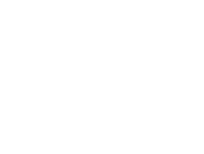 Ann & Ric Adams